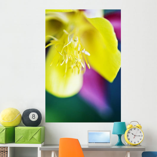 Columbine Macro Close-up Blossom Wall Decal