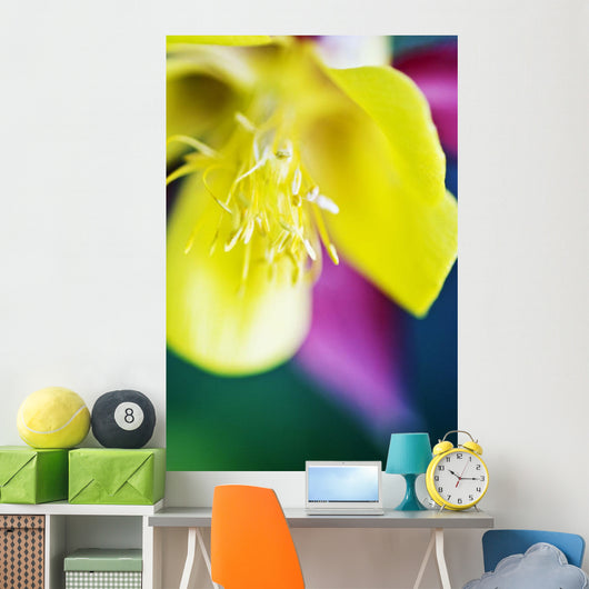 Columbine Macro Close-up Blossom Wall Decal