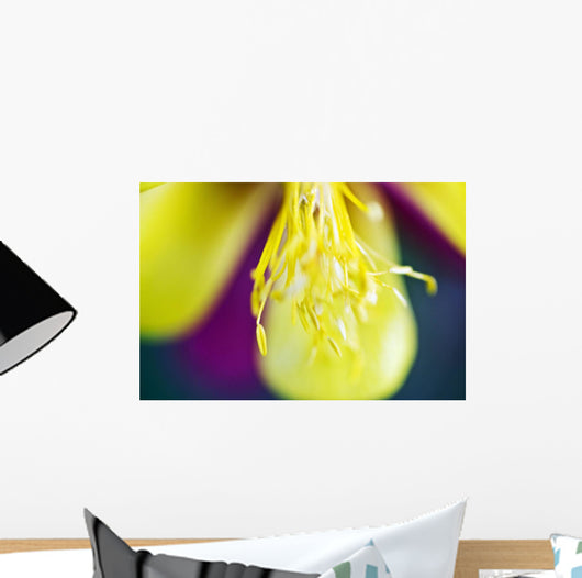 Columbine Macro Close-up Stamens Wall Decal