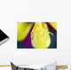 Columbine Macro Close-up Stamens Wall Decal