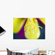 Columbine Macro Close-up Stamens Wall Decal