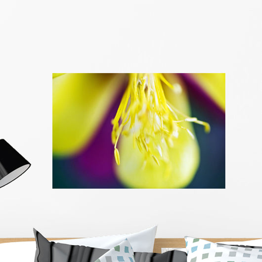 Columbine Macro Close-up Stamens Wall Decal