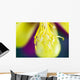 Columbine Macro Close-up Stamens Wall Decal