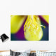 Columbine Macro Close-up Stamens Wall Decal
