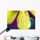 Columbine Macro Close-up Stamens Wall Decal