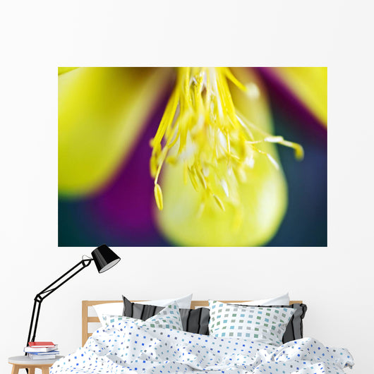 Columbine Macro Close-up Stamens Wall Decal