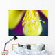 Columbine Macro Close-up Stamens Wall Decal