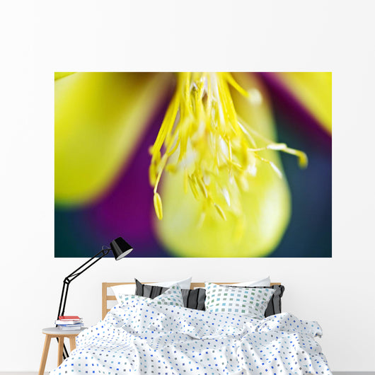 Columbine Macro Close-up Stamens Wall Decal