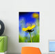 Gazania Beautiful Yellow Blossom Wall Decal Design 2