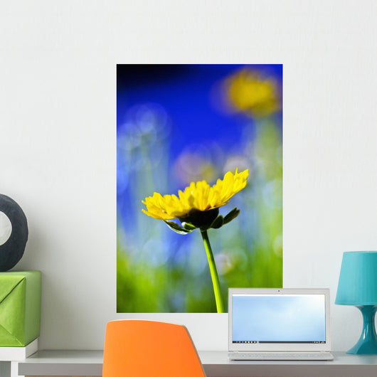 Gazania Beautiful Yellow Blossom Wall Decal Design 2
