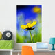 Gazania Beautiful Yellow Blossom Wall Decal Design 2