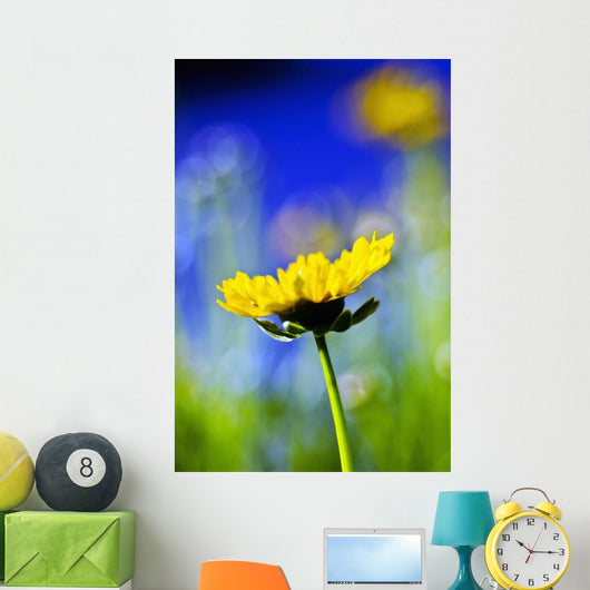Gazania Beautiful Yellow Blossom Wall Decal Design 2
