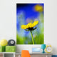 Gazania Beautiful Yellow Blossom Wall Decal Design 2