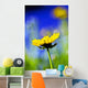 Gazania Beautiful Yellow Blossom Wall Decal Design 2