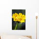 Gazania Beautiful Yellow Blossom Wall Decal Design 1