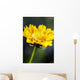 Gazania Beautiful Yellow Blossom Wall Decal Design 1
