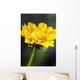 Gazania Beautiful Yellow Blossom Wall Decal Design 1