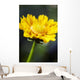Gazania Beautiful Yellow Blossom Wall Decal Design 1