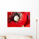 Potentilla Gibson's Scarlet Extreme Wall Decal