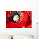 Potentilla Gibson's Scarlet Extreme Wall Decal