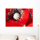 Potentilla Gibson's Scarlet Extreme Wall Decal