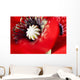 Potentilla Gibson's Scarlet Extreme Wall Decal