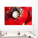 Potentilla Gibson's Scarlet Extreme Wall Decal