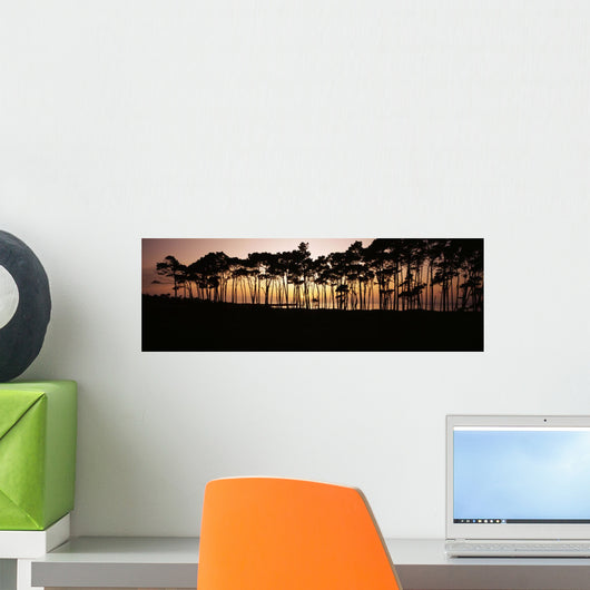 Line Trees Shoreline Silhouetted Wall Decal