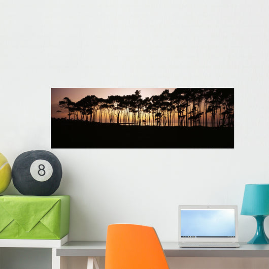 Line Trees Shoreline Silhouetted Wall Decal