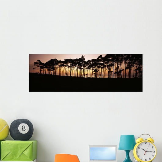 Line Trees Shoreline Silhouetted Wall Decal