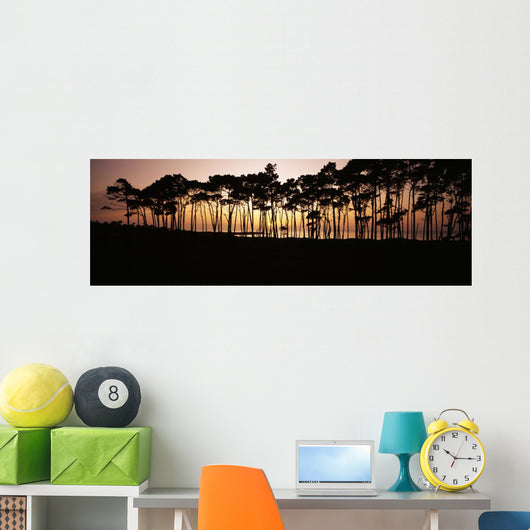 Line Trees Shoreline Silhouetted Wall Decal