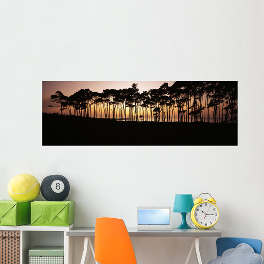 Line Trees Shoreline Silhouetted Wall Decal
