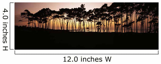 Line Trees Shoreline Silhouetted Wall Decal