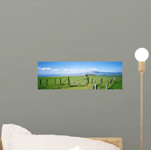 USA Hawaii Mauna Kea Wall Decal