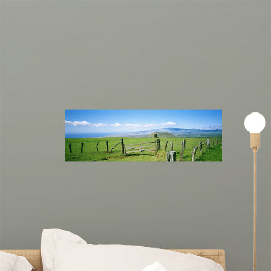USA Hawaii Mauna Kea Wall Decal