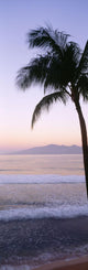 USA Hawaii Molokai Wall Decal