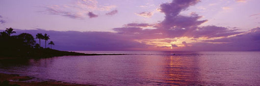 USA Hawaii Purple Sunset Wall Decal