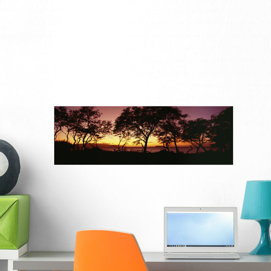 USA Hawaii Molokini Island Wall Decal
