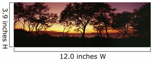 USA Hawaii Molokini Island Wall Decal