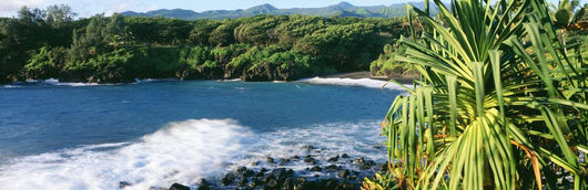 USA Hawaii Maui Lauhala Wall Decal