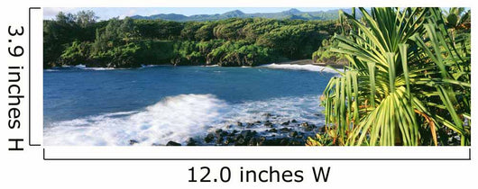 USA Hawaii Maui Lauhala Wall Decal