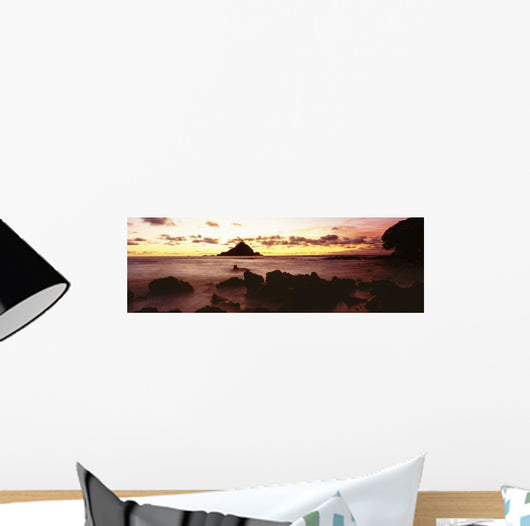 USA Hawaii Maui Alau Wall Decal Design 2