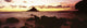 USA Hawaii Maui Alau Wall Decal Design 2