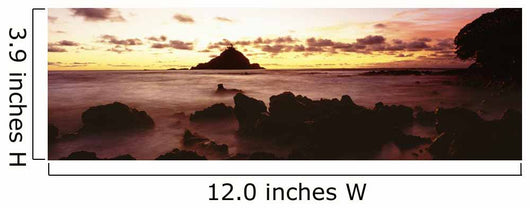 USA Hawaii Maui Alau Wall Decal Design 2