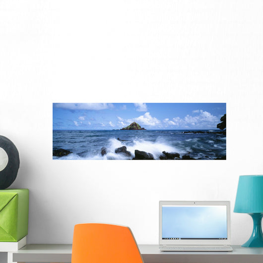 USA Hawaii Maui Alau Wall Decal Design 1