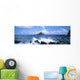 USA Hawaii Maui Alau Wall Decal Design 1