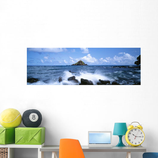 USA Hawaii Maui Alau Wall Decal Design 1