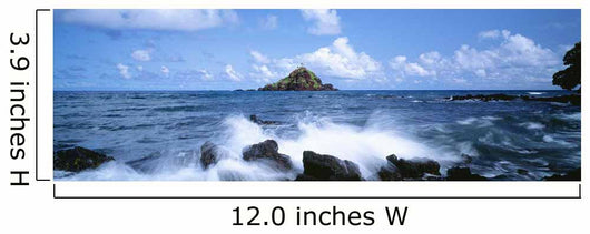 USA Hawaii Maui Alau Wall Decal Design 1