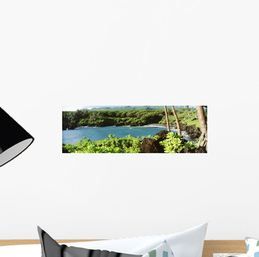 USA Hawaii Maui Waianapanapa Wall Decal Design 1