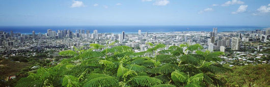 Panoramic City Buildings and Wall Decal